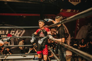 爱游戏体育(AYX)官方APP下载-NBA球迷互动活动策划,nba球星互动