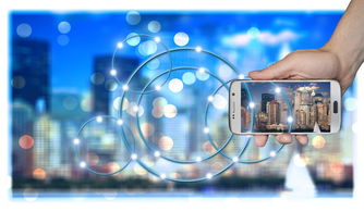 爱游戏中国官方登录入口网站-中国篮球联赛品牌建设策略与粉丝经济发展路径研究，篮球品牌市场占有率