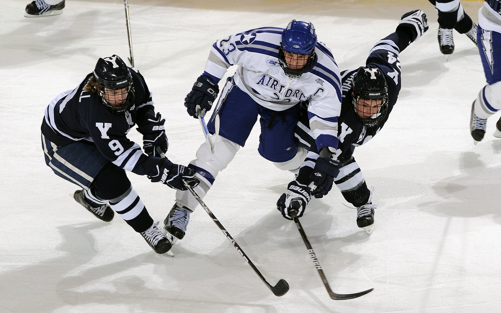 _山野定向赛：脑力与体力的双重考验_，野外定向比赛