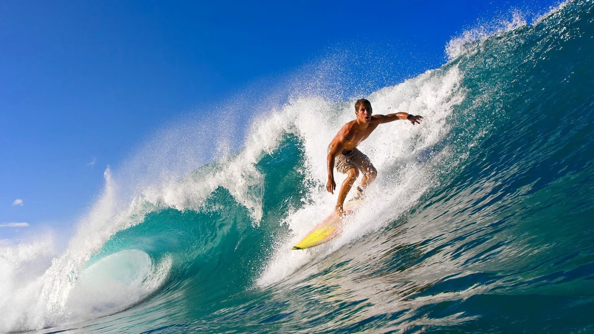 _著名教练揭秘：培养顶级运动员的训练诀窍_，怎么培养运动员